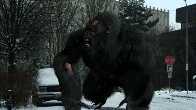 File:Bigfoot5.jpg