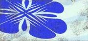 NabooFlag