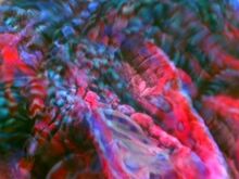Interdimensional entity