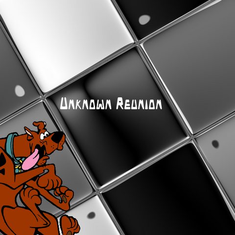 File:Unknown Reunion.png