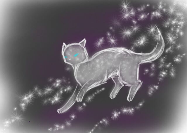 File:Starclan Cat by kittygirlmew.jpg