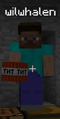 Thumbnail for version as of 08:49, January 3, 2012