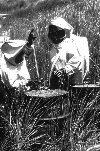 File:THagents.jpg