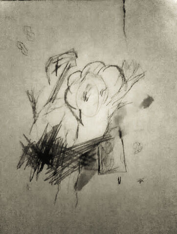 Archivo:ZGeip.jpg