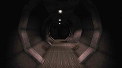 Tunnel trans.jpg