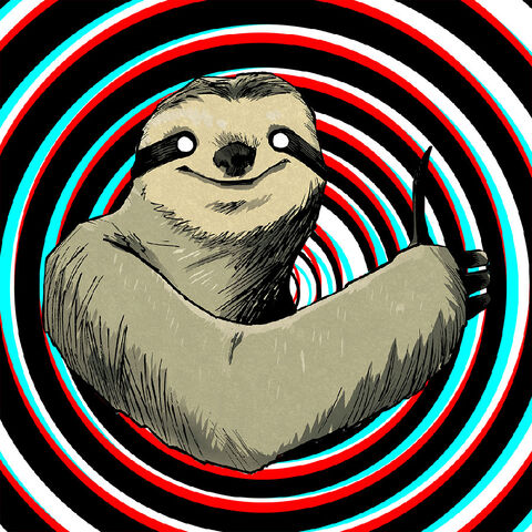 File:More amazing sloth.jpg
