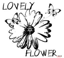Lovely Flower