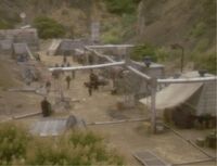 Colony XXXV