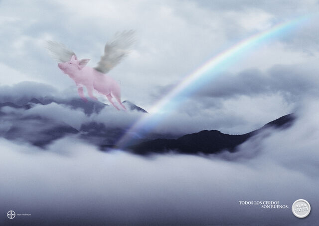 File:Cerdo volando.jpg
