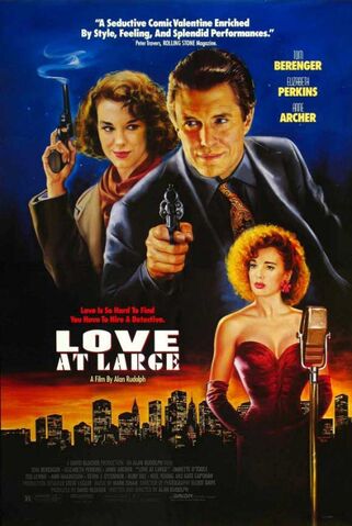 File:1990 - Love at Large Movie Poster.jpg