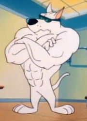 ArnoldThePitBull