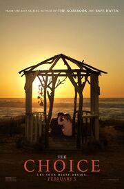 2016 - The Choice Movie Poster
