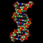 DNA