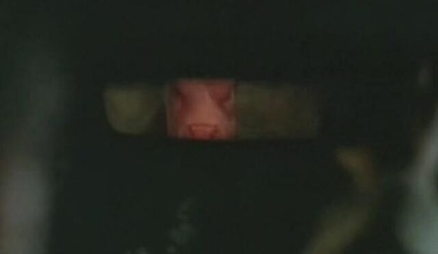File:The Mad Cow.jpg