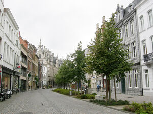 Befferstraat Pluys