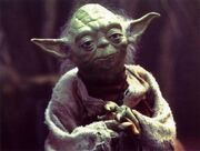 SW-DHYoda