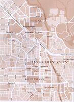 DowntownRaccoonCity