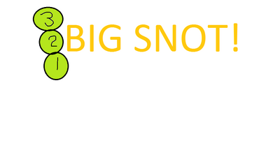 321 BIG SNOY