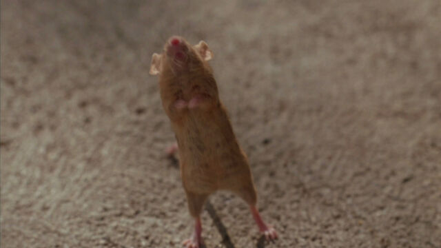 File:Garfield-movie-screencaps.com-735.jpg