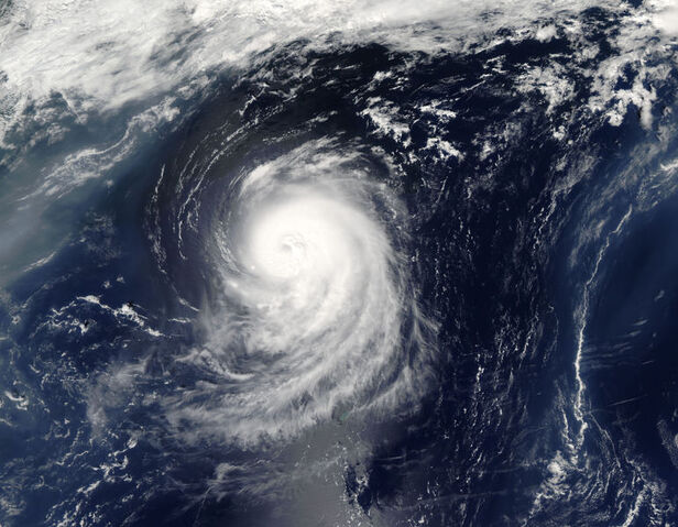 File:Frances 1980.jpg