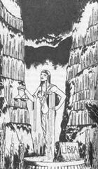FF36-libra