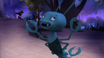 Little Earwig (MTB)