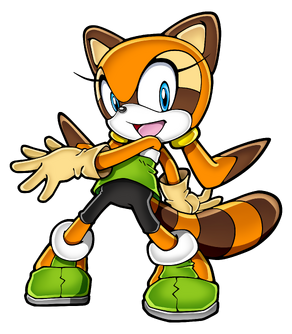 Marine the Racoon