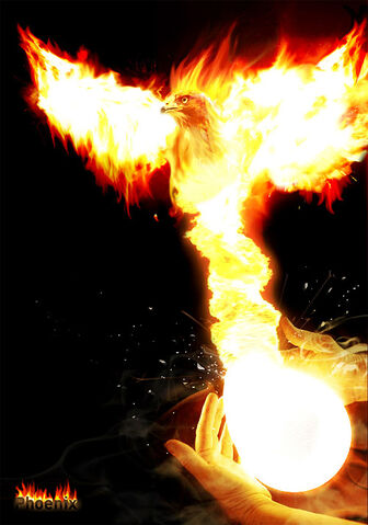 File:Phoenix-in-phoenix.jpg