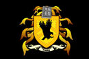 Ajmeasternstateflag