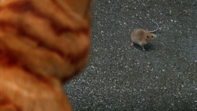 File:Garfield-movie-screencaps.com-5608.jpg