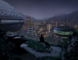 Colony 28