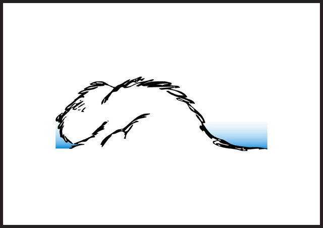 File:Gimyckocecinestpassamson.jpg