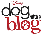 Dog with a Blog