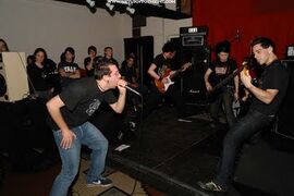 Theacaciastrain2