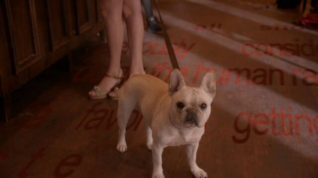 File:Normal ScreamQueens112 1225.jpg