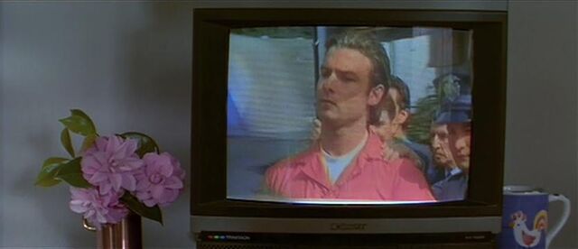 File:Cotton on TV.jpg