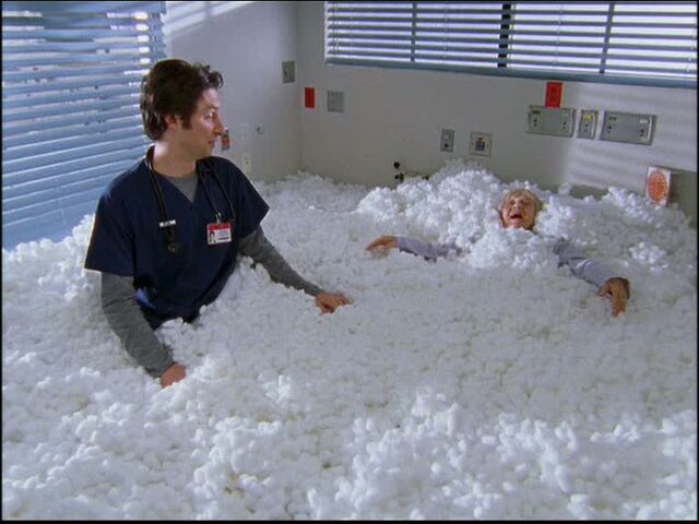 File:4x23 Cotton Balls.jpg