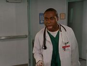 4x20hooch