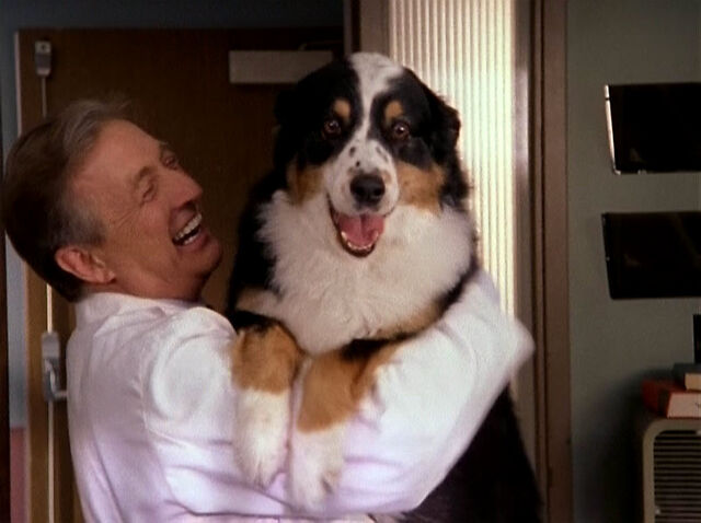 File:3x5 Baxter.jpg