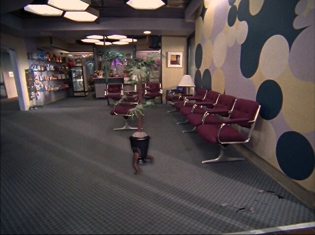 File:6x22-Two-Legged Plant.jpg