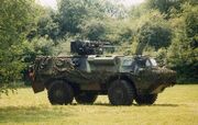 Sandtiger