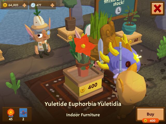 File:YuletideEuphorbiaYultidia.jpeg