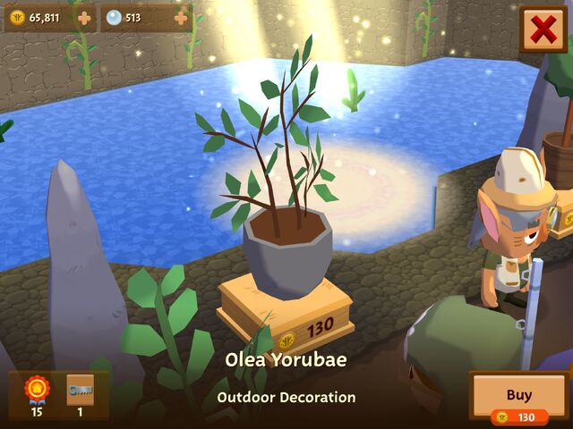 File:OleaYorubae.jpeg