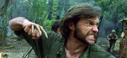 Wolverine-bone-claws