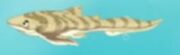 Squirt