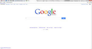 Google Search Screenshot