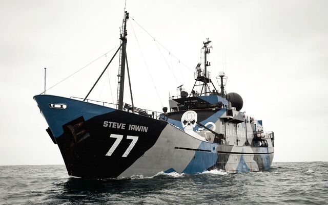 File:MYSteveIrwin.jpg