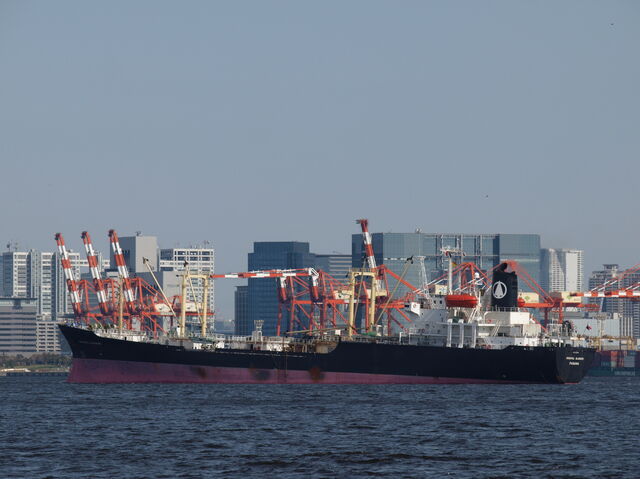 File:C0133123 21322990.jpg