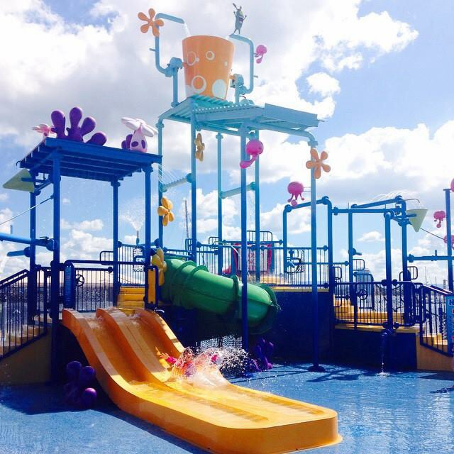 Image - SeaWorld Resort pool slides.jpg | SeaWorld Gold Coast Australia ...