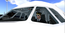 Snapshot 008-1